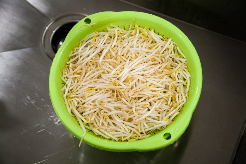 Stirfry Mung Bean Sprouts - washing bean sprouts