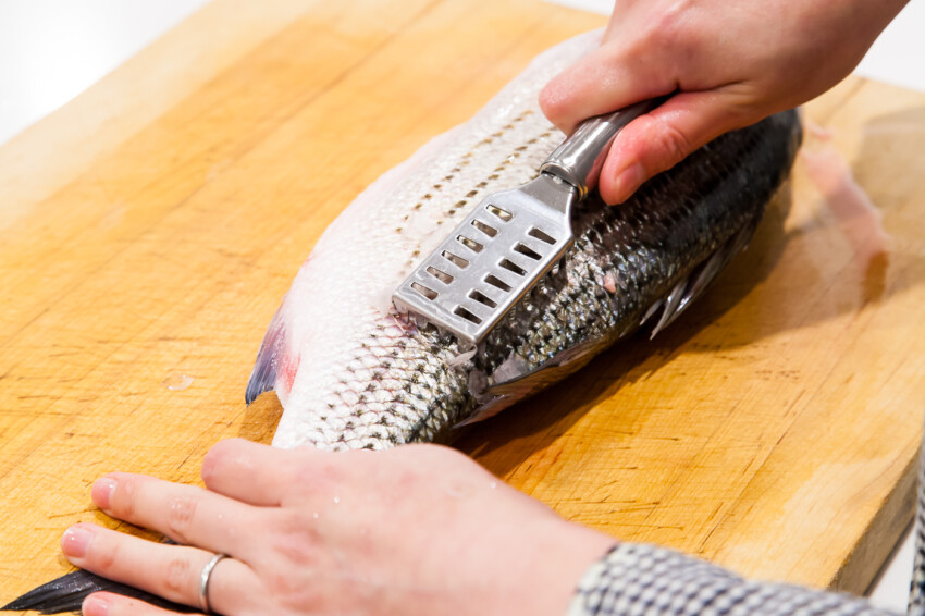 How to Clean a Fish - descaling