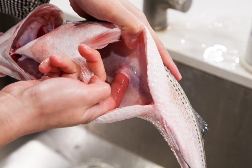 How to Clean a Fish - removing guts and cleaning inside