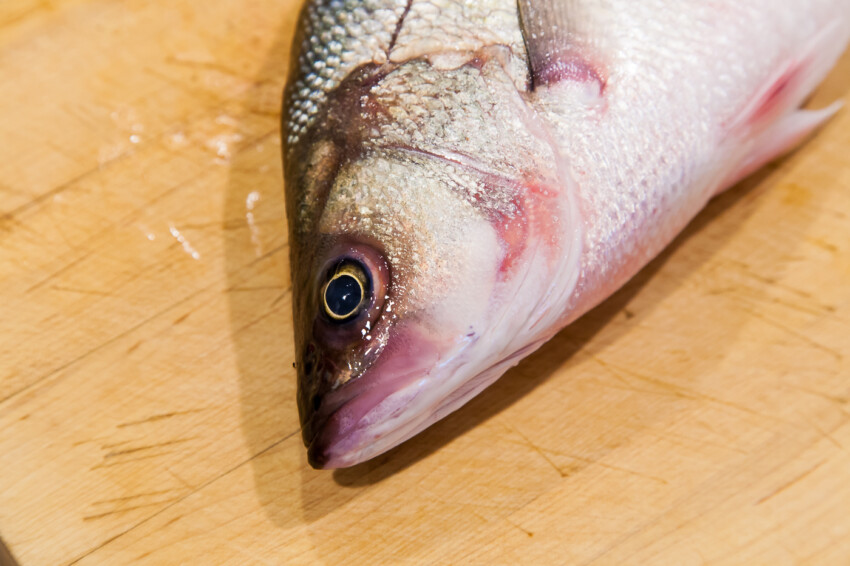 How to Clean a Fish - A look at the Eyes