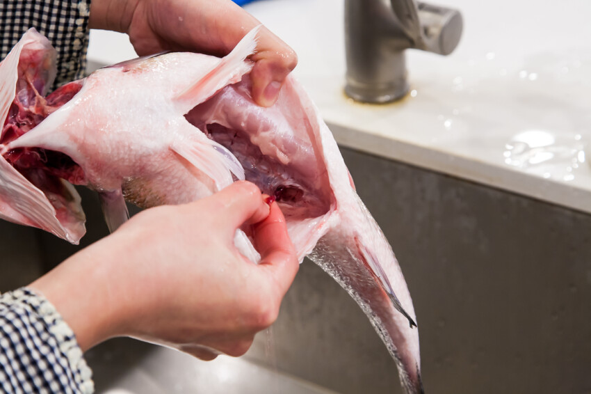 How to Clean a Fish - removing guts and cleaning inside