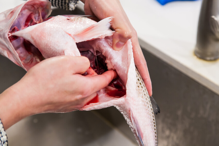 How to Clean a Fish - removing guts and cleaning inside