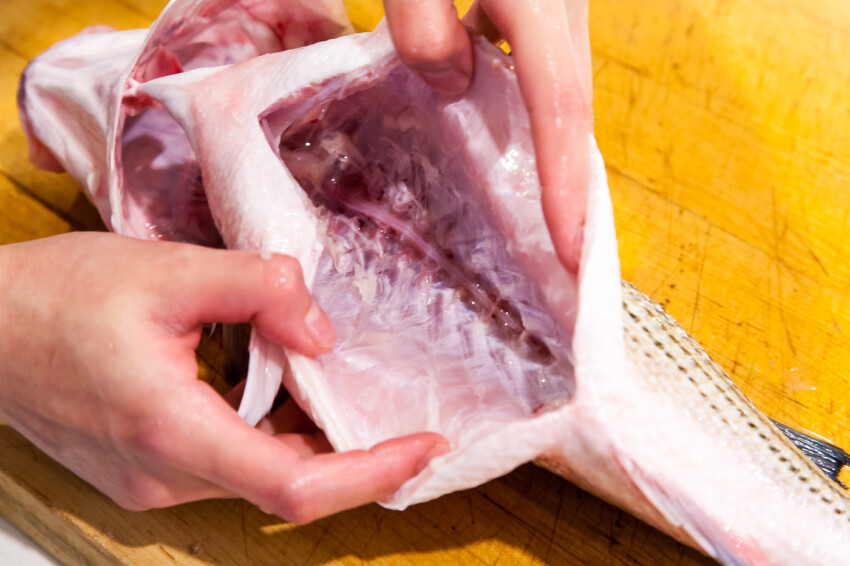 How to Clean a Fish - removing guts and cleaning inside